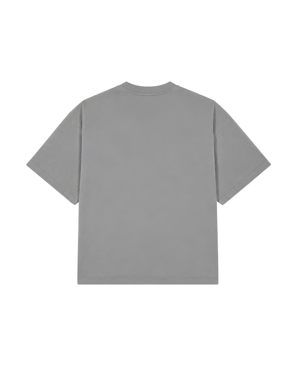 Boxy Fit Premium T-Shirt - Benetton Gri