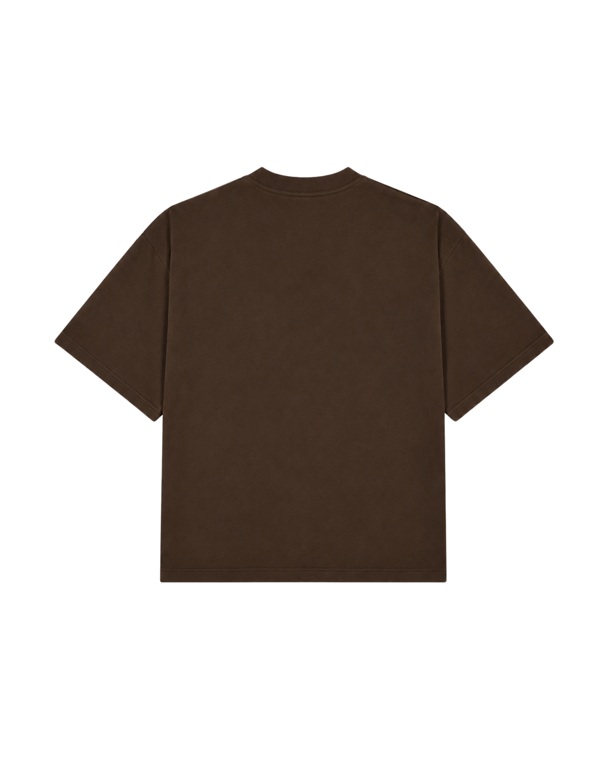 Boxy Fit Premium T-Shirt - Kahverengi